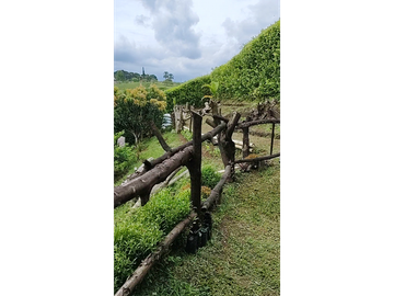 Hermosa finca con linderos del rio Barbas en la Ulloa Valle y Alcala