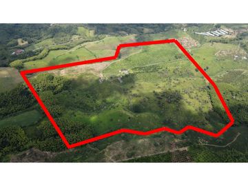 VENTA DE FINCA EN ULLOA, VALLE, COLOMBIA