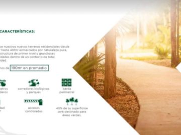 Terreno - Jardines de Ciudad Mayakoba