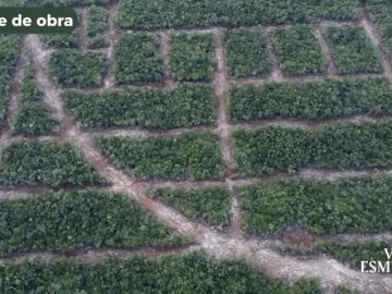 Terreno - Pueblo Tixkokob