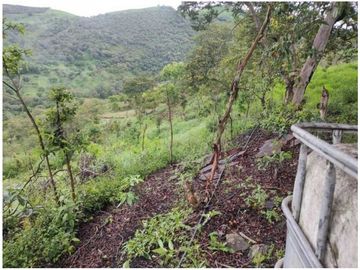 VENTA LOTE YARUMAL CON APARTAESTUDIO $200 MILLONES, 9.000m2 (C)