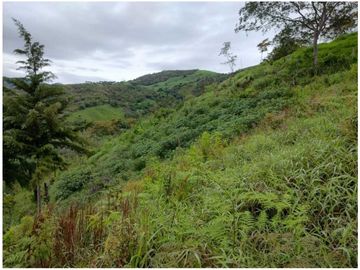 VENTA LOTE YARUMAL CON APARTAESTUDIO $200 MILLONES, 9.000m2 (C)
