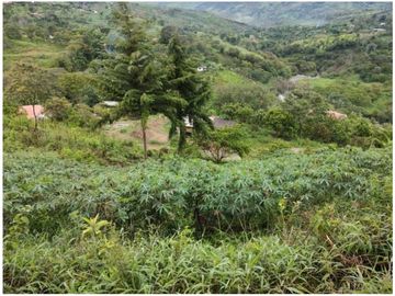 VENTA LOTE YARUMAL CON APARTAESTUDIO $200 MILLONES, 9.000m2 (C)