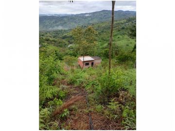 VENTA LOTE YARUMAL CON APARTAESTUDIO $200 MILLONES, 9.000m2 (C)