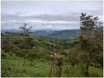 VENTA LOTE YARUMAL CON APARTAESTUDIO $200 MILLONES, 9.000m2 (C)