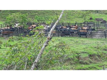 Finca ganadera productiva en san luis ant vereda La Josefina