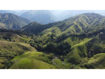 Finca ganadera productiva en san luis ant vereda La Josefina