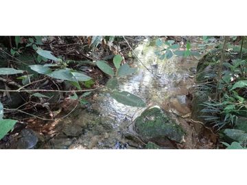 Finca ganadera productiva en san luis ant vereda La Josefina