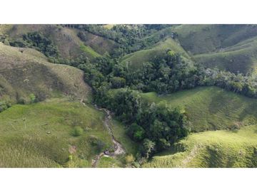 Finca ganadera productiva en san luis ant vereda La Josefina