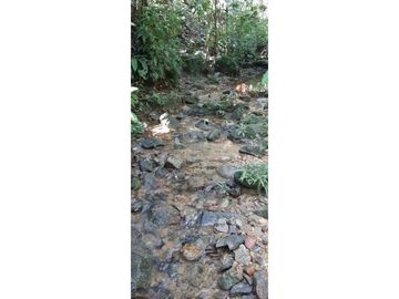 Finca ganadera productiva en san luis ant vereda La Josefina