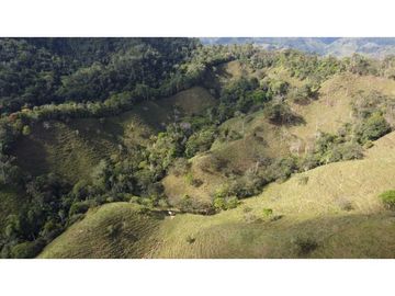 Finca ganadera productiva en san luis ant vereda La Josefina