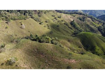 Finca ganadera productiva en san luis ant vereda La Josefina