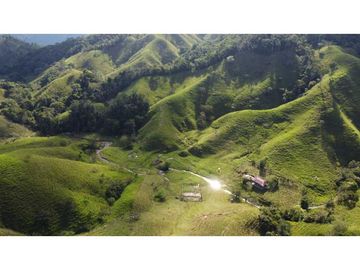 Finca ganadera productiva en san luis ant vereda La Josefina
