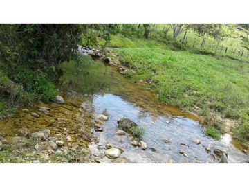 Finca ganadera productiva en san luis ant vereda La Josefina