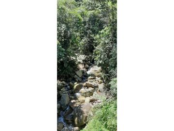 Finca ganadera productiva en san luis ant vereda La Josefina