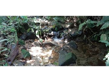 Finca ganadera productiva en san luis ant vereda La Josefina