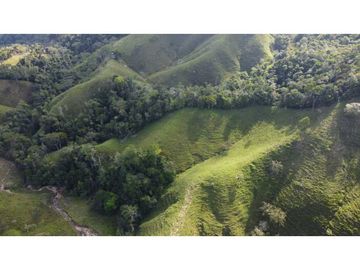 Finca ganadera productiva en san luis ant vereda La Josefina