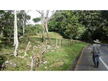 Finca ganadera productiva en san luis ant vereda La Josefina