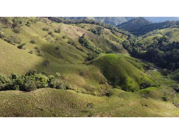 Finca ganadera productiva en san luis ant vereda La Josefina