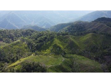 Finca ganadera productiva en san luis ant vereda La Josefina