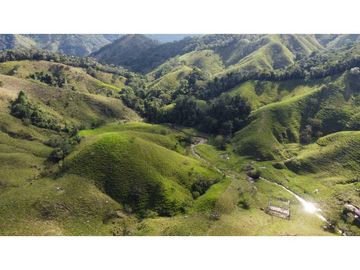 Finca ganadera productiva en san luis ant vereda La Josefina