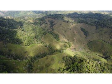 Finca ganadera productiva en san luis ant vereda La Josefina