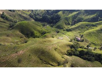 Finca ganadera productiva en san luis ant vereda La Josefina
