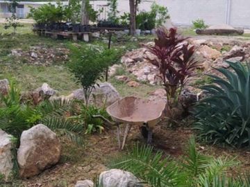 Terreno con Construccion en Venta en Dzununcán, Mérida, Yucatán