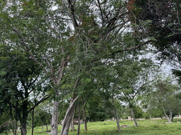 Terreno con Construccion en Venta en Dzununcán, Mérida, Yucatán