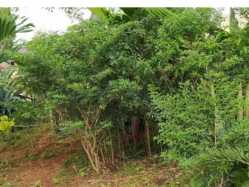 Terreno con Construccion en Venta en Dzununcán, Mérida, Yucatán
