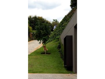 Venta Casa campestre en Llanogrande