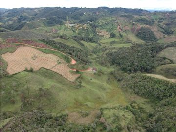 Venta finca productiva San Vicente vía a concepción