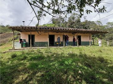 Venta finca productiva San Vicente vía a concepción