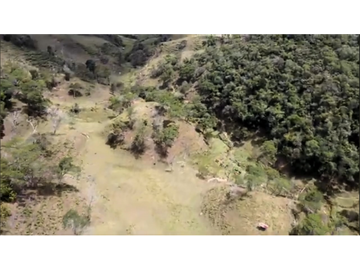 Venta finca productiva San Vicente vía a concepción