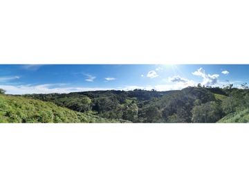 Venta finca productiva San Vicente vía a concepción