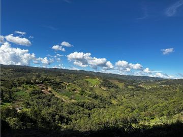Venta finca productiva San Vicente vía a concepción