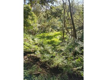 Venta finca productiva San Vicente vía a concepción