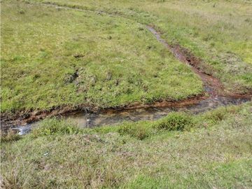 Venta finca productiva San Vicente vía a concepción
