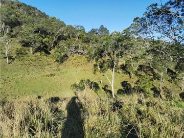 Venta finca productiva San Vicente vía a concepción