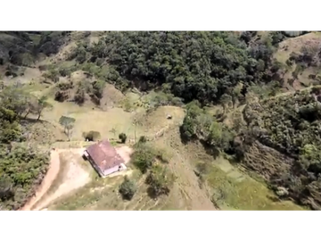 Venta finca productiva San Vicente vía a concepción