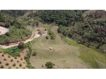 Venta finca productiva San Vicente vía a concepción
