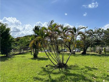 TERRENO / LOS NANCES  LA PRADERA DE UTIVE / CON CABAÑA / 1600 M2
