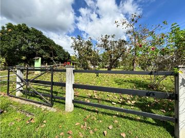 TERRENO / LOS NANCES  LA PRADERA DE UTIVE / CON CABAÑA / 1600 M2
