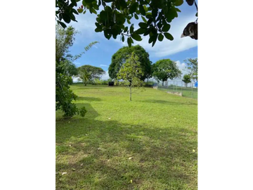 TERRENO / LOS NANCES  LA PRADERA DE UTIVE / CON CABAÑA / 1600 M2
