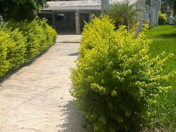 SALON DE EVENTOS EN VENTA EN ANGOSTURA, SINALOA