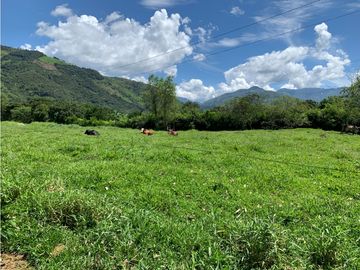 FINCA PRODUCTIVA  PISCCOLA CERCA A PORCE VEREDA EL CANEY  SANTA ROSA