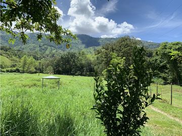 FINCA PRODUCTIVA  PISCCOLA CERCA A PORCE VEREDA EL CANEY  SANTA ROSA