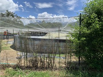 FINCA PRODUCTIVA  PISCCOLA CERCA A PORCE VEREDA EL CANEY  SANTA ROSA