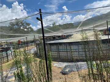FINCA PRODUCTIVA  PISCCOLA CERCA A PORCE VEREDA EL CANEY  SANTA ROSA