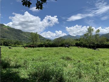 FINCA PRODUCTIVA  PISCCOLA CERCA A PORCE VEREDA EL CANEY  SANTA ROSA